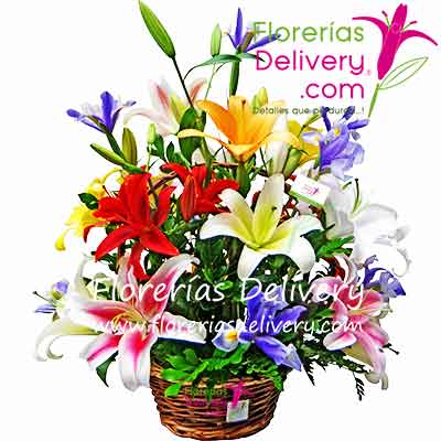 Arreglos florales con liliums de colores y regalos ... envios a Lima Callao Peru en menos de 3 o 4 horas el mismo dia a domicilio...